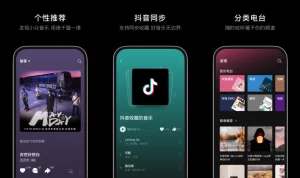 汽水音乐音效失效？设备兼容性与软件设置调整