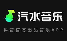 汽水音乐离线下载失败？存储权限与缓存清理技巧